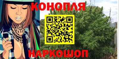 гашик Краснознаменск
