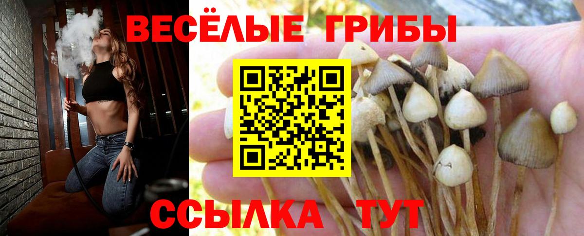 Псилоцибиновые грибы Magic Shrooms Корсаков
